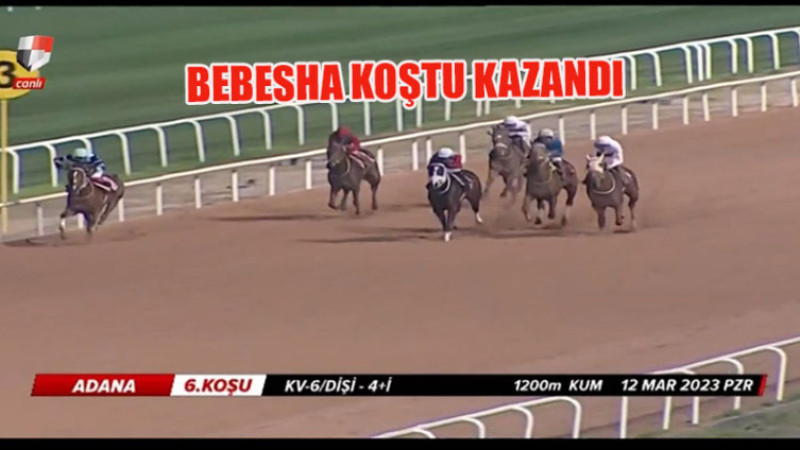 BEBESHA KOŞTU KAZANDI