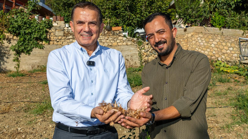Yenişehir Belediyesinin hibe ettiği safran soğanları toprakla buluştu