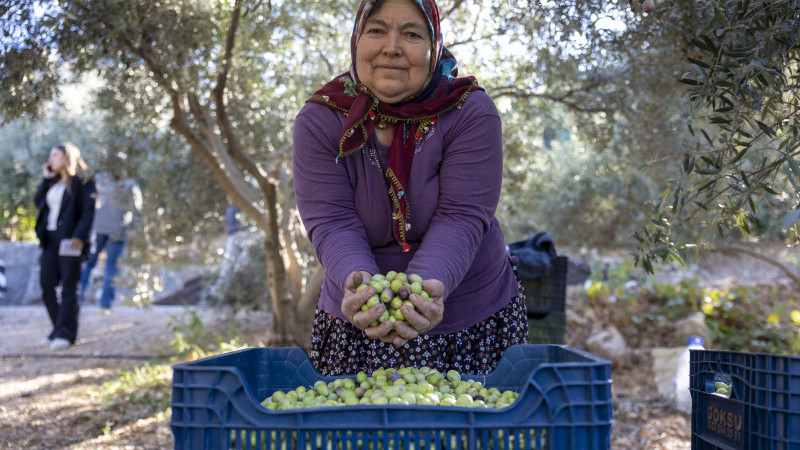 TARLADA İZİ OLAN KADINLARIN BÜYÜKŞEHİR İLE YÜZÜ GÜLÜYOR