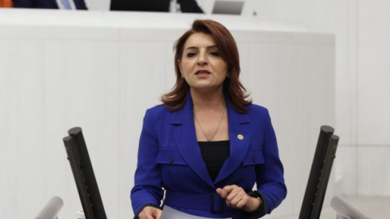 GÜLCAN KIŞ “BU ÜCRETLE DEĞİL YAŞAMAK, BESLENMEK BİLE LÜKS” 