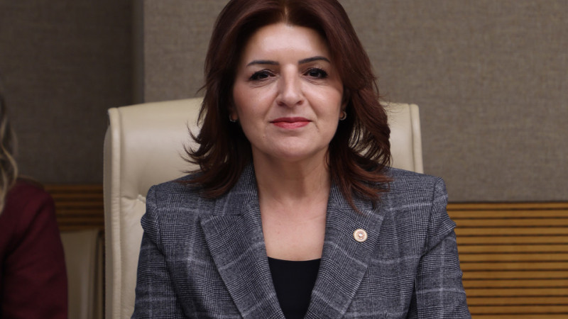 GÜLCAN KIŞ: “BU TORBA YASA YEREL YÖNETİMLERİ SARAY İZNİNE BAĞLAMA GİRİŞİMİDİR”
